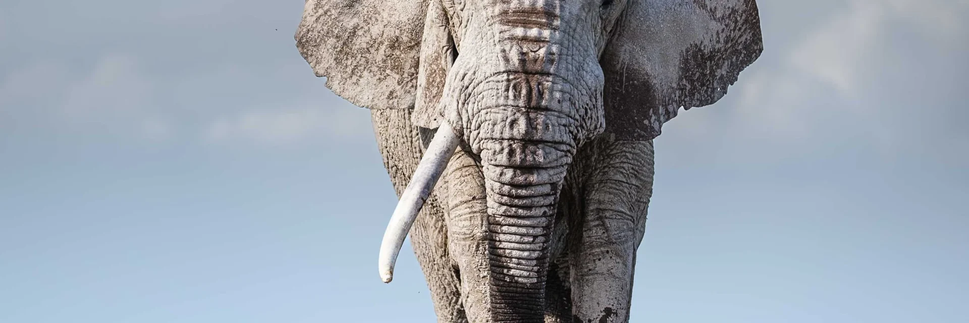 Amboseli National Park