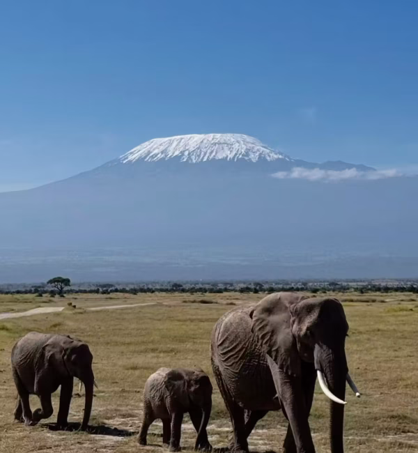 Amboseli National Park