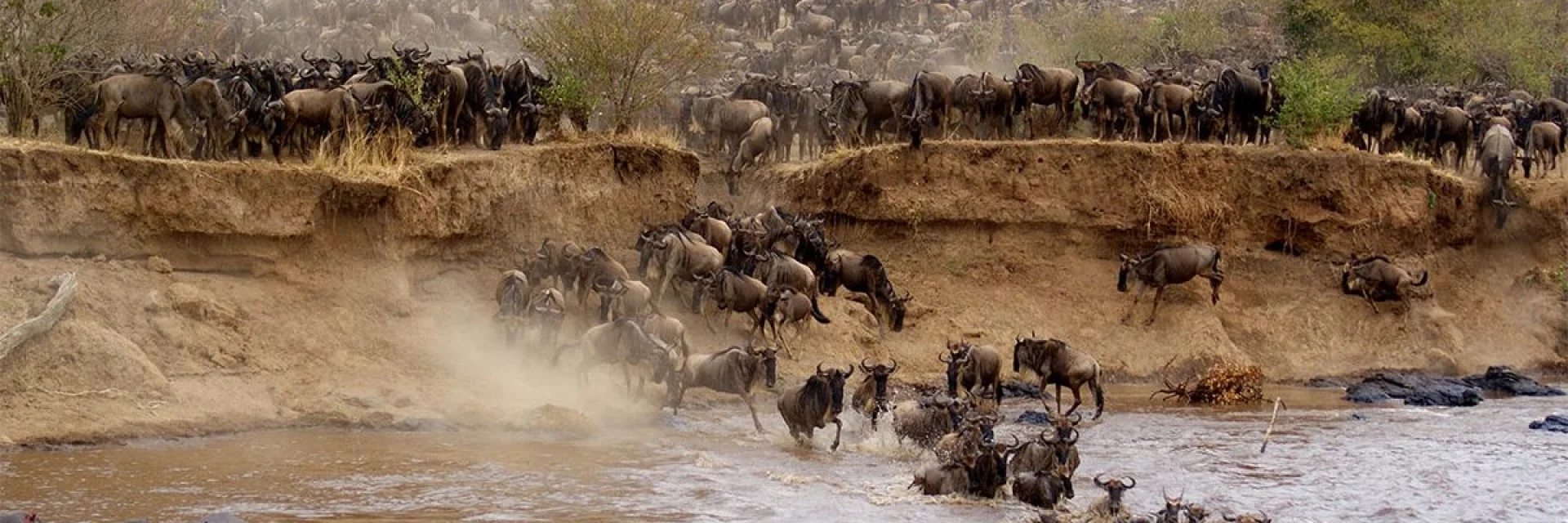 Maasai Mara Game Reserve