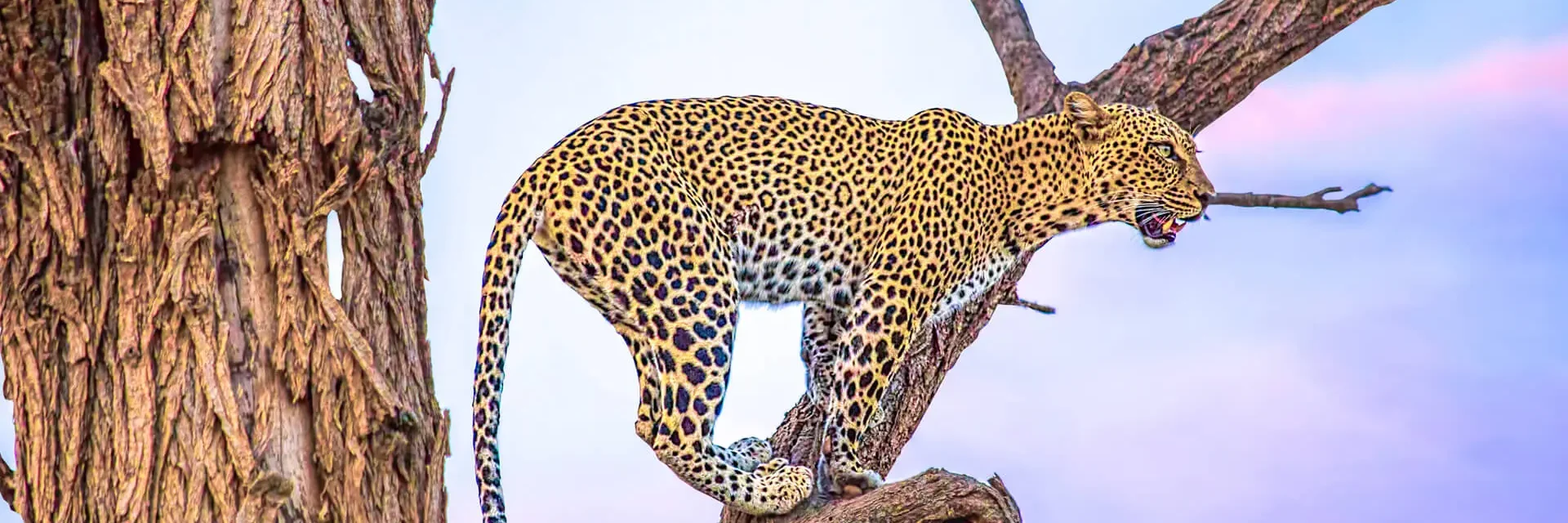 samburu national reserve