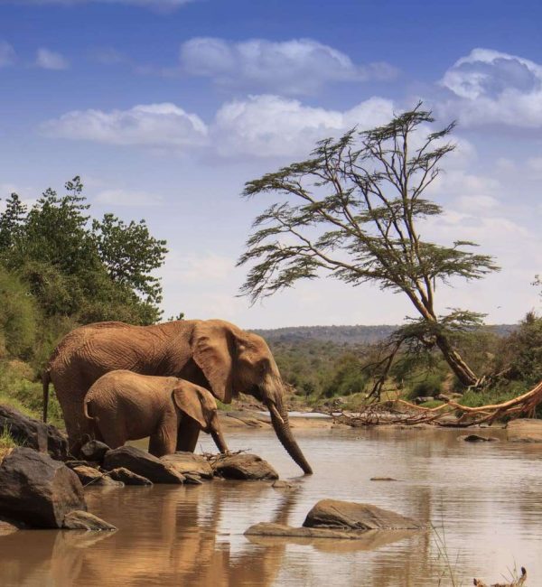 samburu national reserve