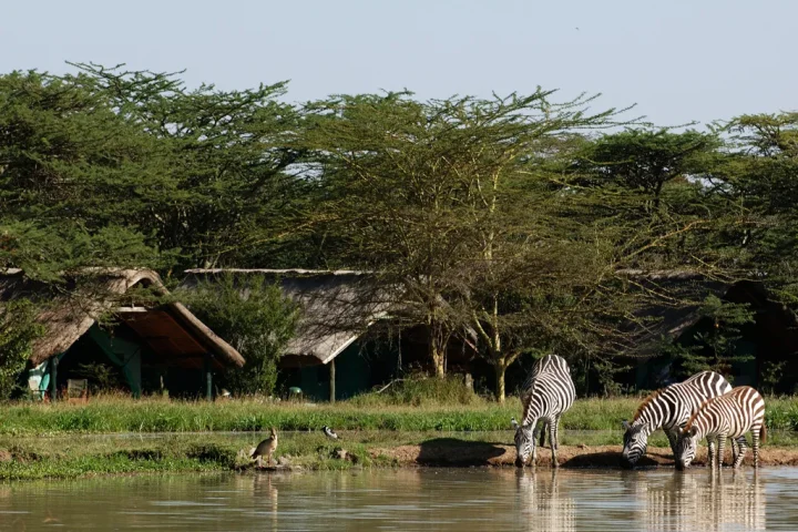 sweet waters tented camp